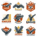 Colored Vintage Beautiful Eagles Labels Set Royalty Free Stock Photo