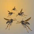 Colored wasps fly to the sun