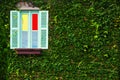 Colored window covered by green leaves Royalty Free Stock Photo