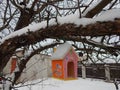 Colored winter feeder for wild birds