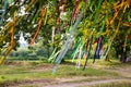 Colored wish ribbons tied on the branches of a tree Royalty Free Stock Photo