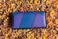 A colored women`s wallet, blue with purple, is located on a textured background of colored pasta Royalty Free Stock Photo