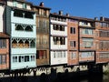 Colored wood houses on the Agout River of Castres in France.