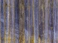 Colored wooden background from boards. Wooden boards from an old fence. Blue and yellow beautiful wood texture.