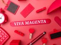 Colored wooden block and pen with the word VIVA MAGENTA