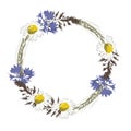 A colored wreath of cornflowers,daisies, bluegrass and spikelets.