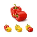 Colored Yellow Red Sweet Bulgarian Bell Peppers, Paprika Isolated