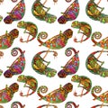 Colored zentangle chameleon seamless pattern. Doodle exotic wild animal. Abstract lizzard. image of reptile o Royalty Free Stock Photo