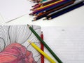 Colorer - antistress with colored pencils Royalty Free Stock Photo