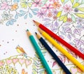 Colorer book - antistress Royalty Free Stock Photo