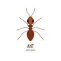 Colorfu cartoon ant logo