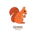 Colorfu cartoon squirrel logo