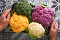 Colorfu cauliflower. Various sort of cauliflower in metal container that holds male hands on stone tiles gray concrete background. Royalty Free Stock Photo