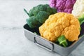 Colorfu cauliflower. Various sort of cauliflower on gray concrete background. Purple, yellow, white and green color cabbages. Broc Royalty Free Stock Photo