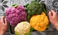 Colorfu cauliflower. Various sort of cauliflower in metal container that holds male hands on stone tiles gray concrete background. Royalty Free Stock Photo