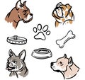 French, English bulldog, boxer, and dog items set. Hand draw doodle vector graphics.