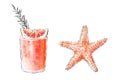 Colorfu hand-drawn illustration of delicious smoothie of fresh fruit and the starfish. Fresh summer cocktail with grapefruit and r