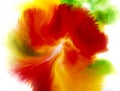 Colorful abstract background of flower concept, red green and yellow