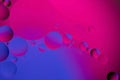 Colorful abstract background. Pink neon purple circles and oil bubbles in the water. Close up. Macro abstraction. Rainbow oil Royalty Free Stock Photo