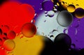 Colorful abstract background. Red purple yellow white black circles and oil bubbles in the water. Close up. Macro abstraction. Royalty Free Stock Photo