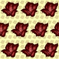 Colorful abstract background red roses pattern Royalty Free Stock Photo