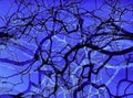 Colorful abstract background tree branches