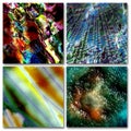 Colorful abstract composition Royalty Free Stock Photo