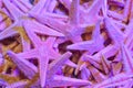 A colorful abstract image of a bunch of dried starfish