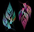 Colorful abstract leaves or trees on a black background. Graphic design elements set. 3d Royalty Free Stock Photo