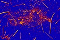 Colorful abstract micrograph of digitally manipulated gold chloride crystals.