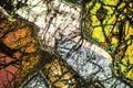 Colorful, abstract pattern of mineral in a polarizing micrograph.