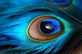 Colorful Abstract Peacock Feather Eyes Illustration for Vibrant Wildlife Design Projects Royalty Free Stock Photo