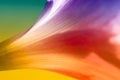 Colorful Abstract Rain Lily Royalty Free Stock Photo