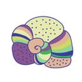 Colorful abstract seashell. Soft colors.