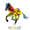 Colorful abstract silhouette of a galloping horse Royalty Free Stock Photo