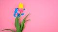 Colorful acylic and yellow flower, tulip flat lay on clear pink background. Royalty Free Stock Photo