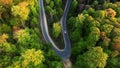 Aerial view of a road bend in a colorful forest