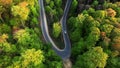 Aerial view of a road bend in a colorful forest