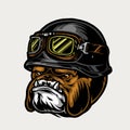 Colorful aggressive biker bulldog head