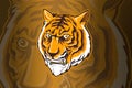 Colorful aggressive strong tiger head Royalty Free Stock Photo