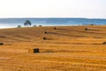 Colorful agricultural field with harvested wheat, straw bales and foggy forest on the horizon Royalty Free Stock Photo