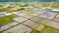 Colorful agricultural field at Sembalun Royalty Free Stock Photo