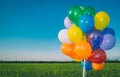 Colorful Air Balloons Banner