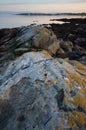 Colorful algae covered rocks on the shore at sunset, Cattle Point, British Columbia