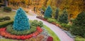 Colorful alley in the autumn arboretum. Drone view Royalty Free Stock Photo