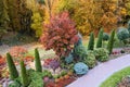 Colorful alley in the autumn arboretum. Drone view Royalty Free Stock Photo