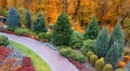 Colorful alley in the autumn arboretum. Drone view Royalty Free Stock Photo