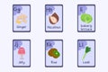 Colorful alphabet flashcard Letter G, H, I, J, K, L - ginger, hazelnut, iceberg lettuce, jelly, kiwi fruit, leek.