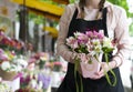 Colorful Alstroemeria flowers. A large bouquet of multi-colored alstroemerias in the flower shop are sold in the form of a gift bo Royalty Free Stock Photo