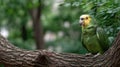 A colorful Amazon parrot rests on a branch, surrounded by lush greenery that accentuates its vibrant feathers Royalty Free Stock Photo